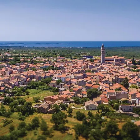 Gorgeous In Galižana