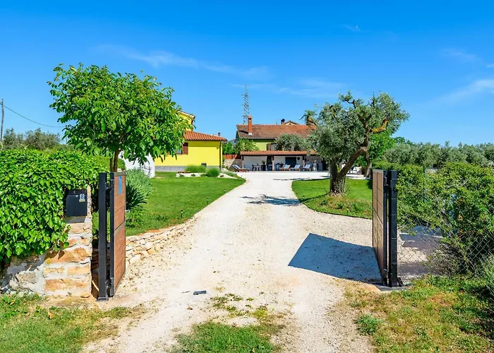 Amazing In * Galižana