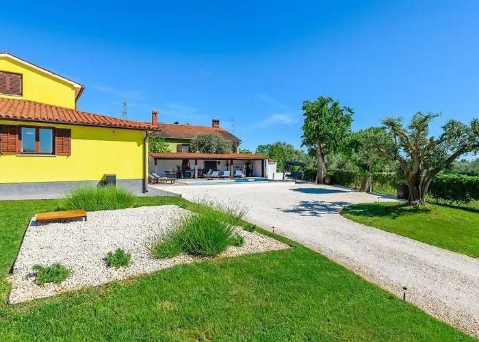 Amazing In * Galižana