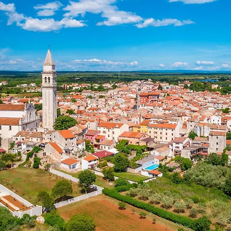 Nyaraló Amazing In *